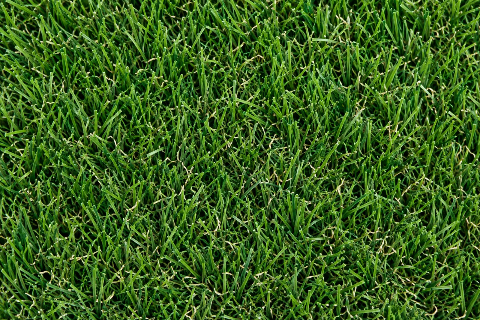 Close-up of illustrative artificial grass fibres